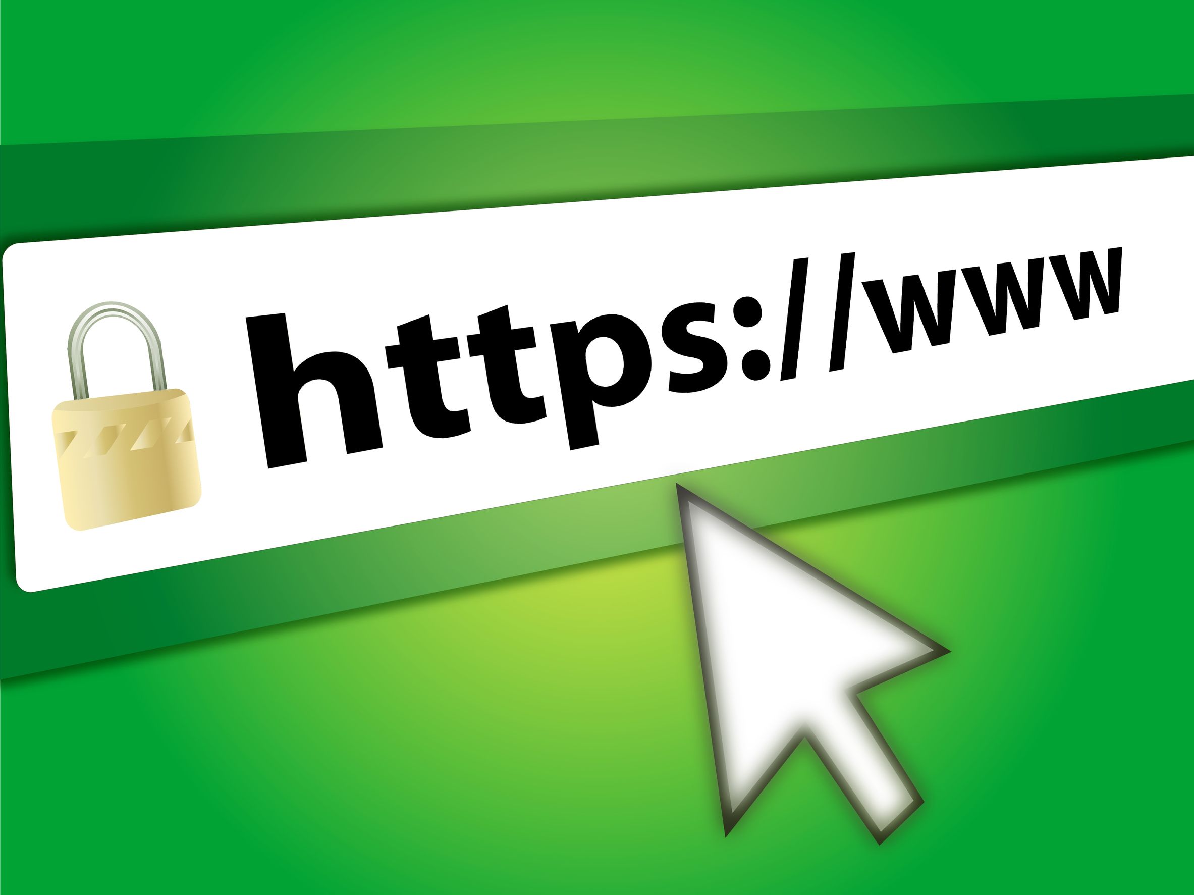 Know which SSL certificate is perfect for your website